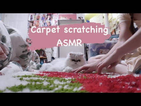 ASMR carpet scratching 🩷
