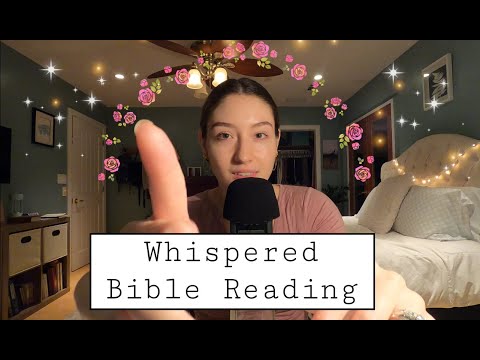 Bible ASMR | Reading Philippians (Part 2)