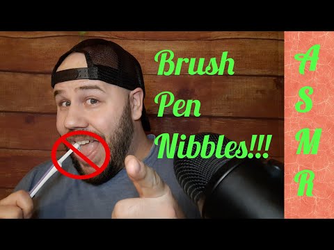 ASMR (Dangerously Tingly) Brush and Pen Nibbles! Don't Try at Home!!!