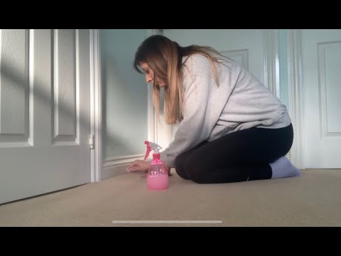 ASMR - Cleaning No Talking - Carpet Scratching, Sprays, Wiping Anti Anxiety