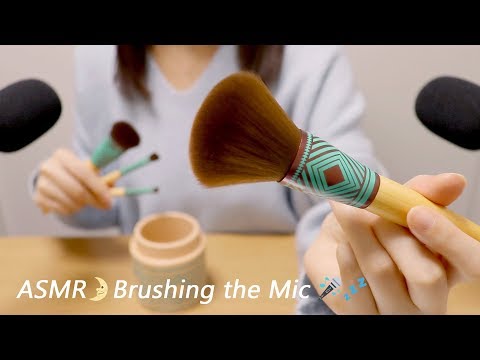 [Japanese ASMR] Brushing the Mic / Whispering