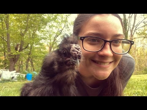 Asmr| Most requested Outdoor triggers! (Grass, Wood tapping, Animal noises)