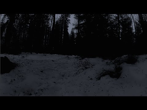 [ASMR] There are Strange Things in the Forest