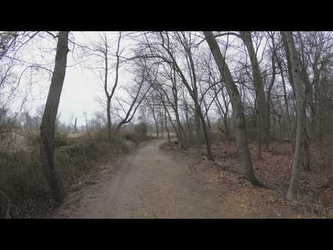 ASMR Hiking on a Peaceful Dirt Path (Part 2)