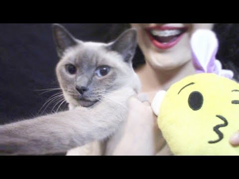 ASMR Whispering With Mr.Cat 😺& Plushies Sounds💕~ Let’s Get Cozy Together!