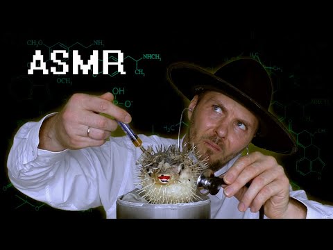 Scientists are exploring the dead fish | ASMR No talking