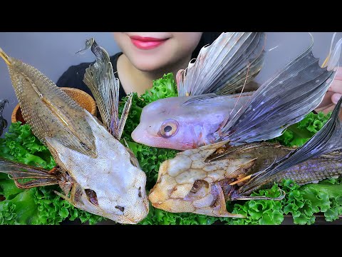 ASMR CÁ TẮC KÈ CHIÊN - FRIED GECKO FISH EATING SOUNDS | LINH-ASMR