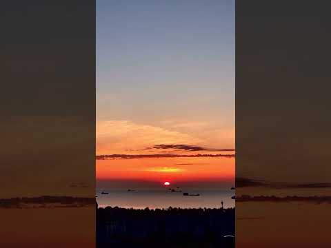 Natural Bird Sounds Seascape Sunrise #nature #sea #sunset #birds #shorts #shortsvideo #youtubeshorts