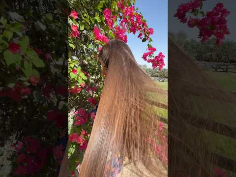 Isn’t it lovely? #longhair on the wind? #longhairasmr #asmr #hairasmr #hair