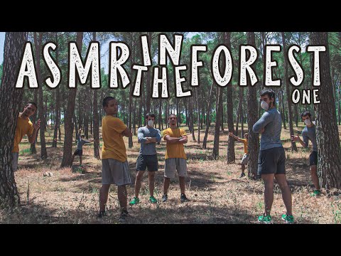 🌲 ASMR IN THE FOREST 🌲 PART 1 (OUTDOOR ASMR)