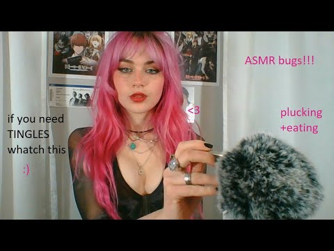 ASMR bugs plucking+eating! (watch this if you want tingles NOW)