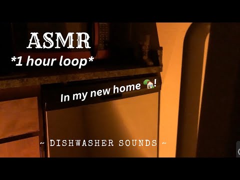 ASMR dishwasher sounds for 1 hour - White noise for deep sleep 💤 ( put it on loop 🔁) no talking