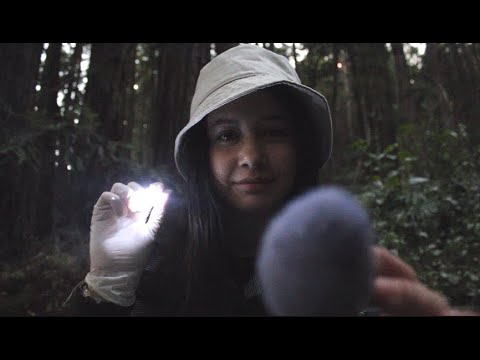 ASMR Cranial Nerve Exam in the Forest