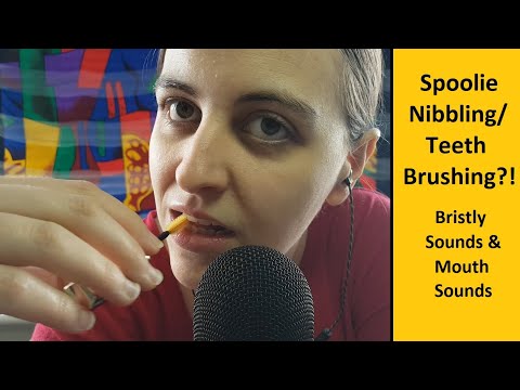 ASMR Spoolie Nibbling/Teeth Brushing(?!?) | Lots of Bristly Brushing Sounds & Mouth Sounds