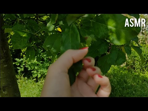 ASMR 50+ Outside Triggers 🌳 Tapping, Scratching, No Talking