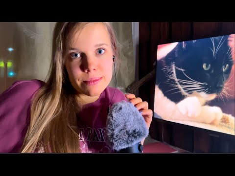 ASMR Whispered Facts About Cats 🐈🐾