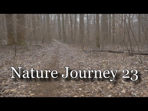 Nature Journey 23 - In the Still of Winter [ ASMR / Binaural ]