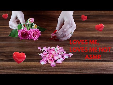 Loves me, loves me not (petal pulling) ASMR
