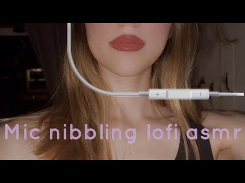 lofi mic nibbling and more ASMR (~￣▽￣)~