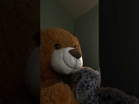 bear asmr 🧸#valentinesday #asmr #teddybear #shortscreator #shorts #asmrshorts