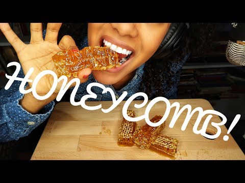 ASMR RAW HONEYCOMB PART 1 | Sticky Eating Sounds | No Talking
