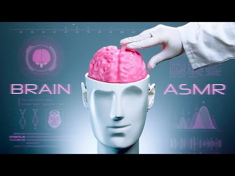ASMR What a Brain Massage REALLY Feels Like! Experimental Triggers on YOUR Sleepy Brain (NO TALKING)