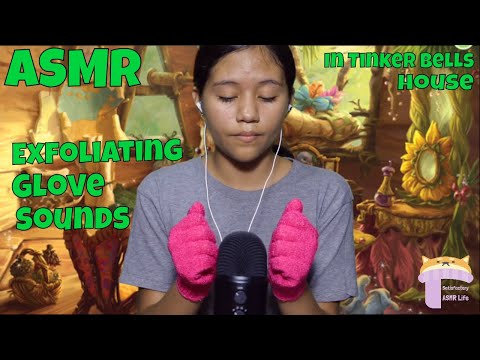 ASMR Exfoliating Gloves Sounds at Tink's House