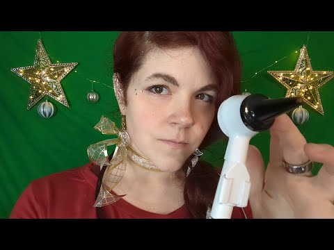 ASMR - Holiday RP - Medical Check up and Flight Prep for You, a Reindeer