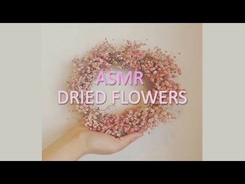 한국어ASMR. 간질간질 말린꽃 소리와 손동작 Dried Flowers & Hand Movements (Whispering)