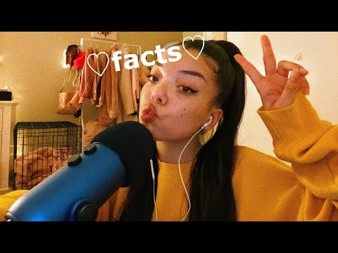 ASMR // ♡ Fun Facts About Me ♡