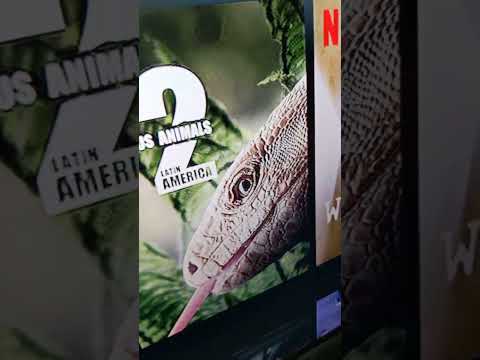 Netflix Tv Tracing ASMR (ON A NEW CHANNEL) (Fast Tracing and TV Screen Tapping)   #short #asmr