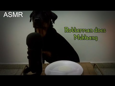 [ASMR] 👅 Rotterman does Mukbang for the First Time | Eating Sounds, Cream Sounds, Mouth Sounds, Foam