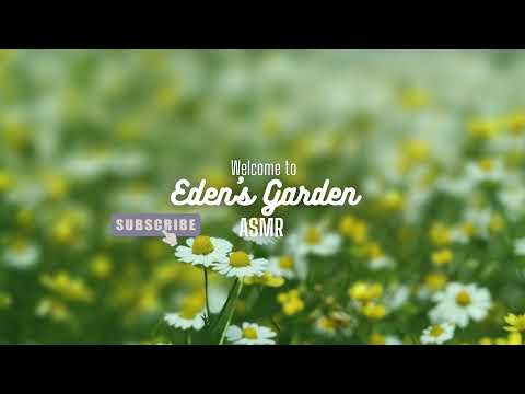 Eden's Garden ASMR Live Stream