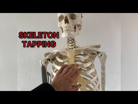 ASMR | Fast tapping and scratching on a skeleton (no talking)💀
