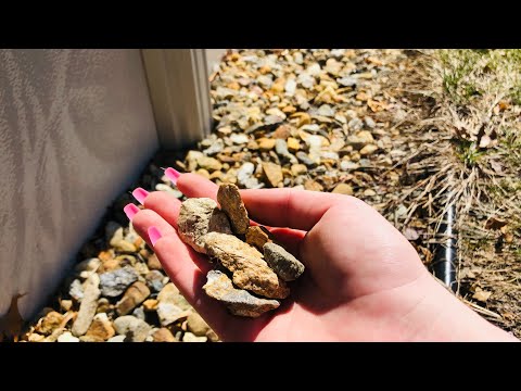 ASMR! Outside Tapping! Beautiful Sunny Day! ☀️