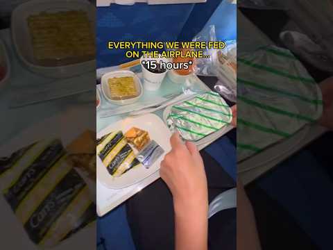 EVERYTHING WE WERE FED ON THE AIRPLANE #shorts #viral #mukbang
