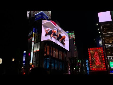 ASMR JAPAN VLOG 🐈 DAY FOUR | cross shinjuku vision, gashapon ikebukuro, pokémon center mega tokyo