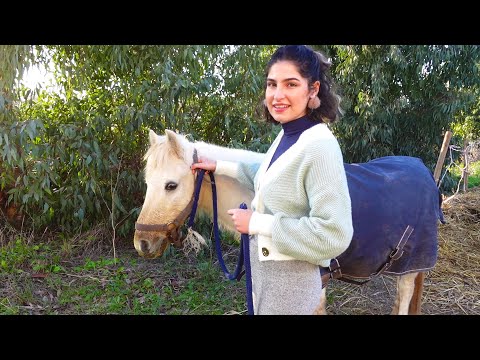 ASMR Horses and Nature VLOG (stables, pony, whispering)