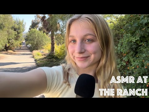 ASMR: In The Outdoors: Camera Tapping, Rambling, etc. 🪲🐝
