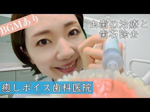 [BGMあり]虫歯の治療と歯石除去👩‍⚕️【声フェチ】A dentist with a soft and soothing voice! [ASMR]