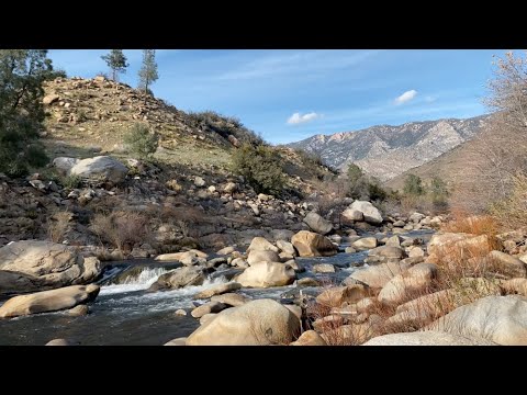 ASMR in Sequoia National Forest (nature sounds)