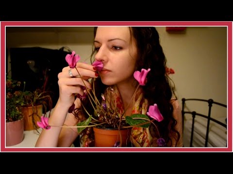❀ ASMR Plant Feels - Stroking Crunching Tapping ❀