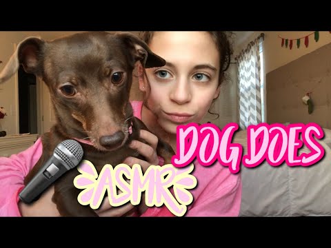 My DOG does ASMR!! 🎤🐕