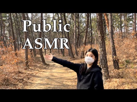 ASMR IN THE FOREST 🌳 / PUBLIC  / 50 tingles