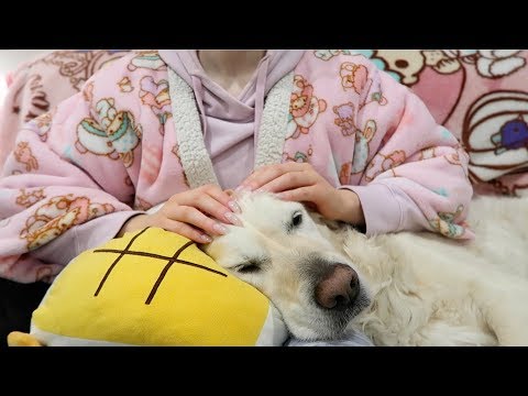 STROKING YOUR HEAD TO SLEEP W DOGGIE NO-TALKING ASMR || STROKING, PETTING & RELAXING W LONG NAILS