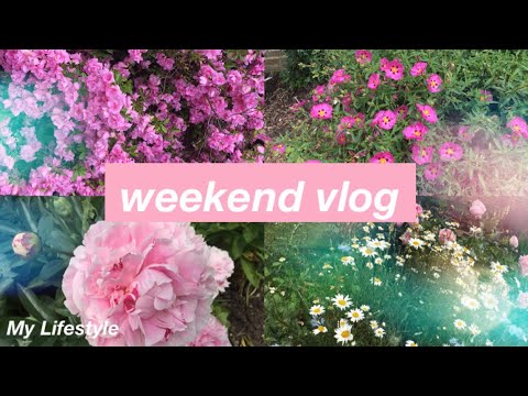 nature weekend vlog 💓 {short}