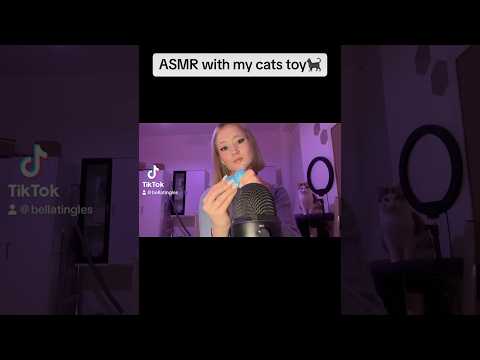 ASMR with my Cats Toy… but she wants to kill me..? #asmr #whispering #triggers