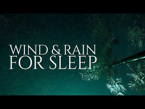 Ambient Wind & Rain Sounds for Relaxation & Sleep 💤 ASMR Destiny Ambient Series 005