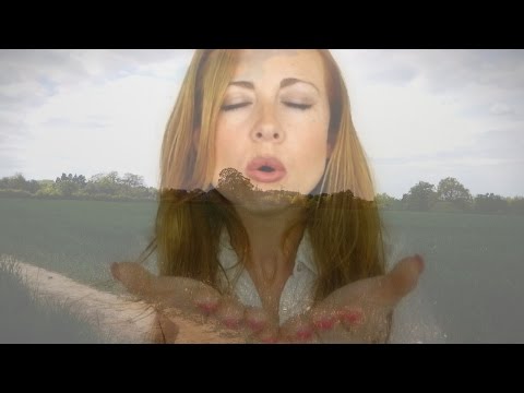 The Field ♥︎ Binaural Ambience - Hand & Hair Relaxation with Music