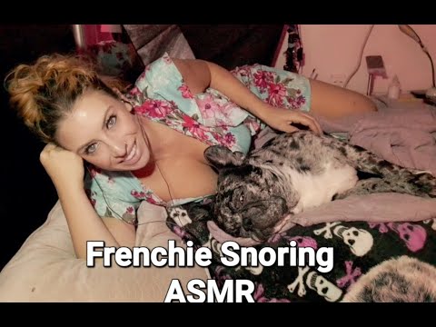 Frenchie Snoring ASMR